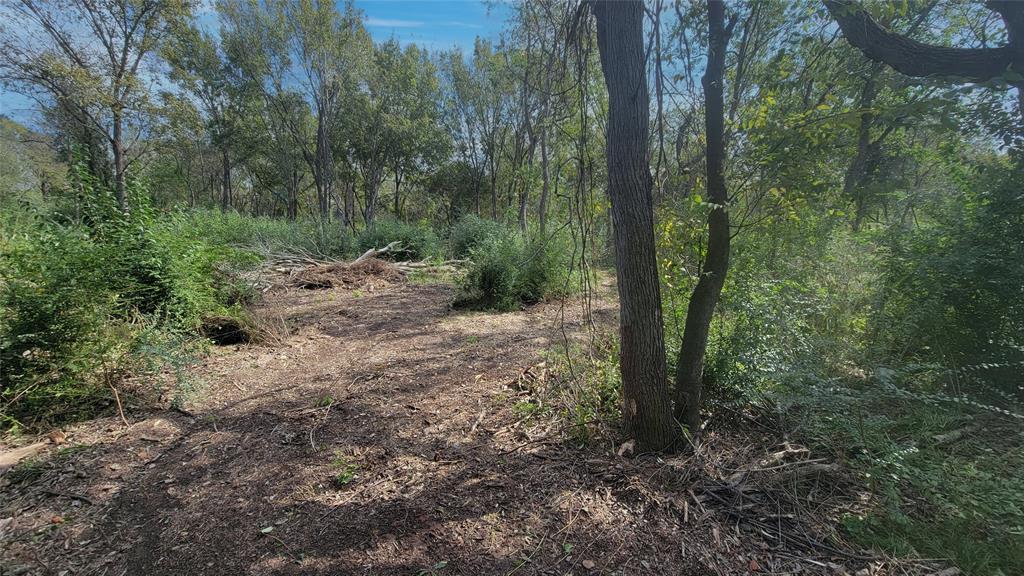 Meadowbrook Lane, Waller, Texas image 19