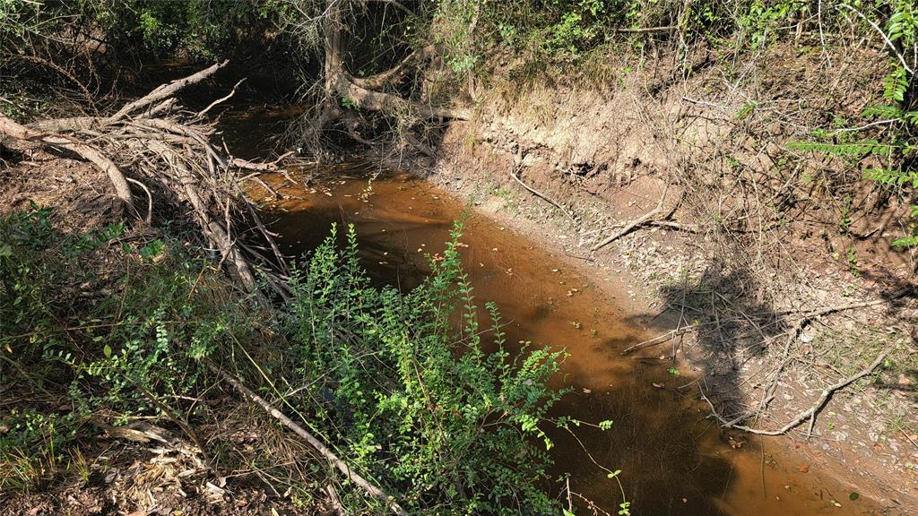 Meadowbrook Lane, Waller, Texas image 16