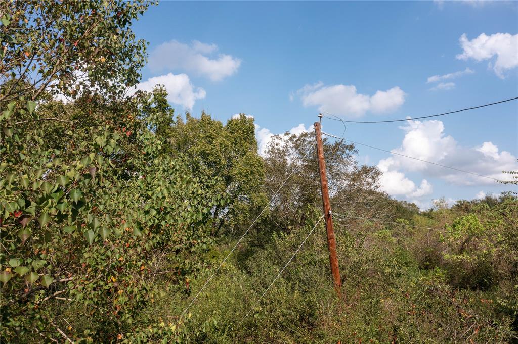 Meadowbrook Lane, Waller, Texas image 29