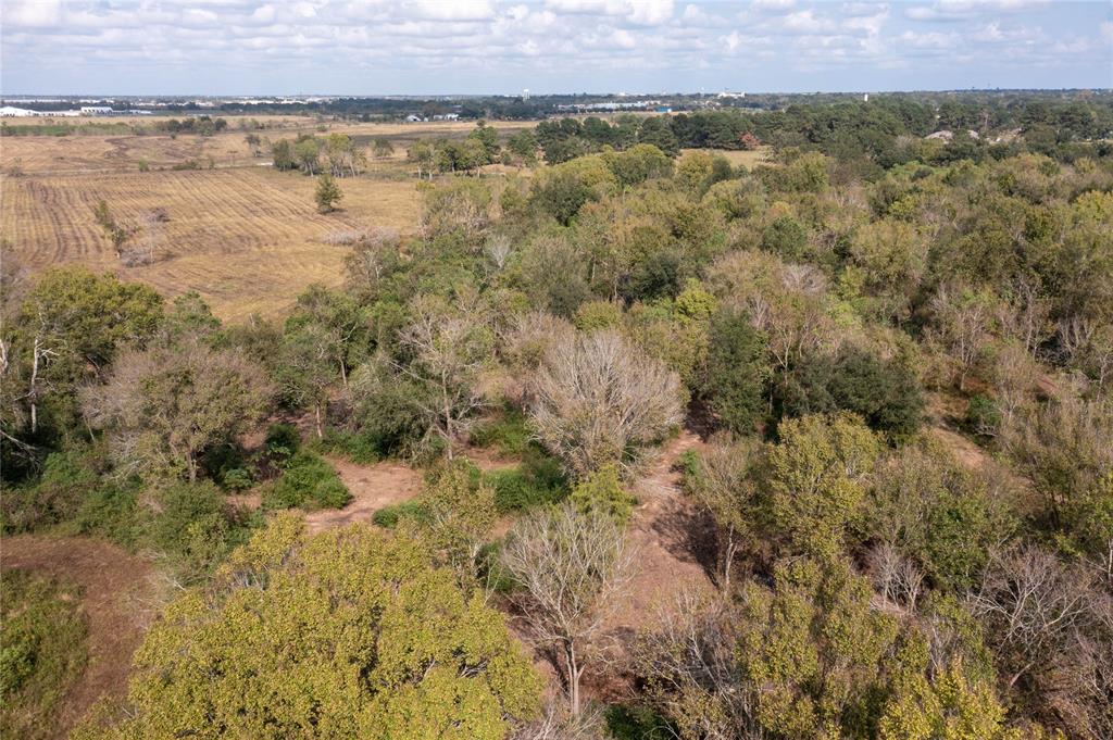 Meadowbrook Lane, Waller, Texas image 36