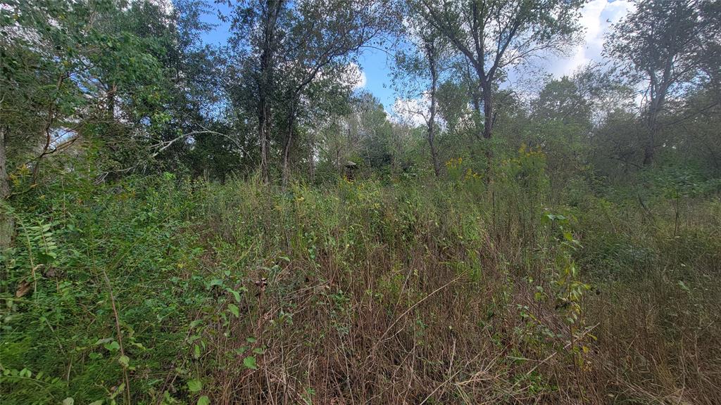 Meadowbrook Lane, Waller, Texas image 24