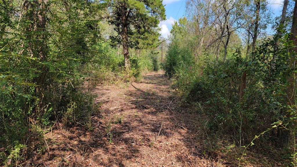 Meadowbrook Lane, Waller, Texas image 11