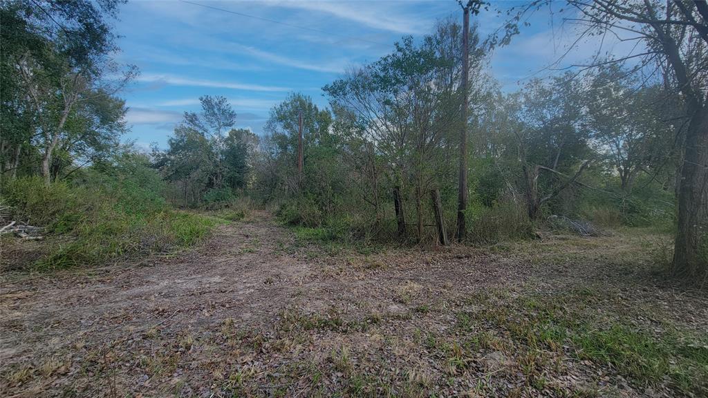 Meadowbrook Lane, Waller, Texas image 9