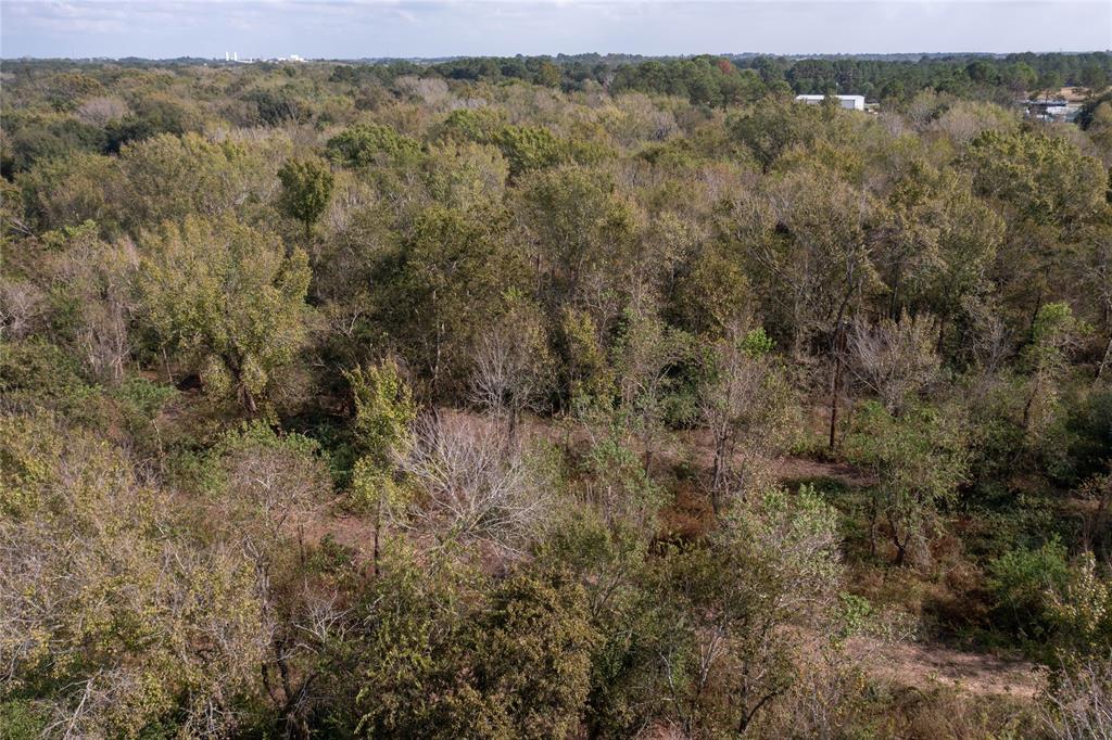 Meadowbrook Lane, Waller, Texas image 42