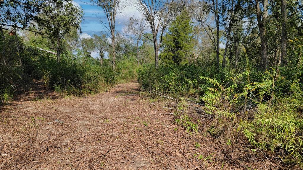 Meadowbrook Lane, Waller, Texas image 6