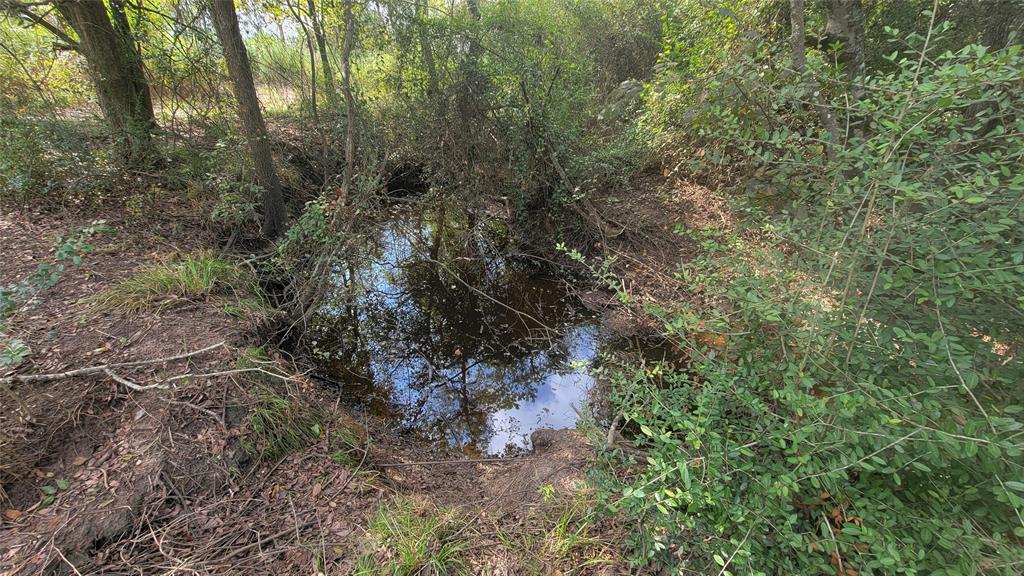 Meadowbrook Lane, Waller, Texas image 20