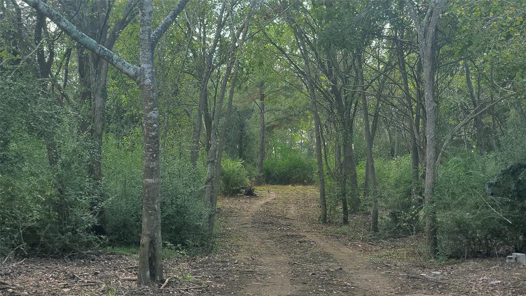 Meadowbrook Lane, Waller, Texas image 25