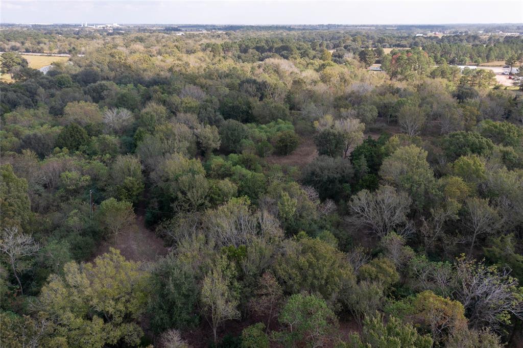 Meadowbrook Lane, Waller, Texas image 46