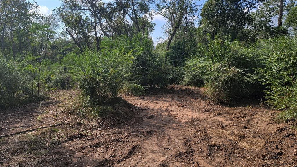 Meadowbrook Lane, Waller, Texas image 17