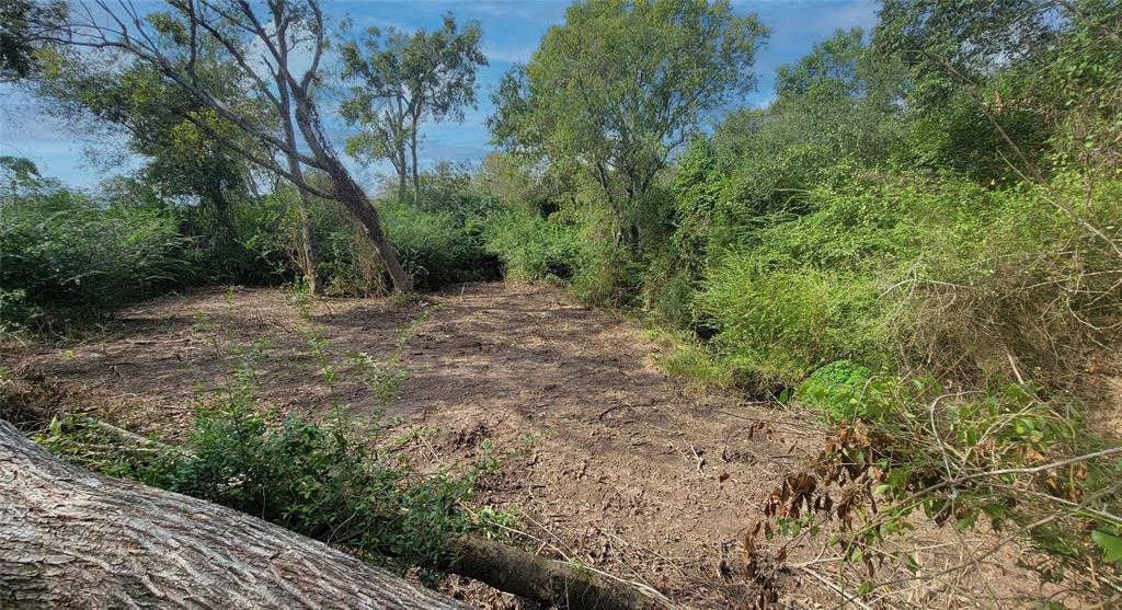 Meadowbrook Lane, Waller, Texas image 21