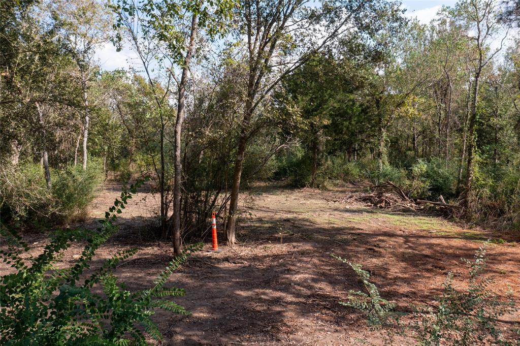 Meadowbrook Lane, Waller, Texas image 45