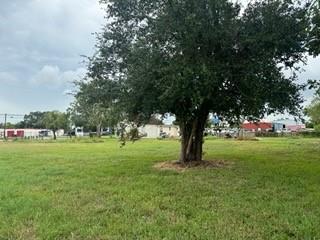 Fm 1765, Texas City, Texas image 2