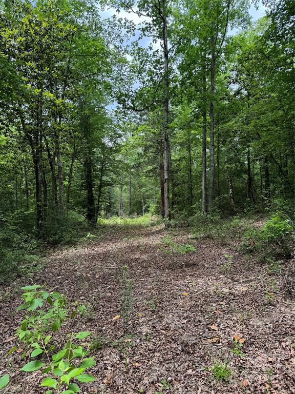 2511 County Road 4280, Woodville, Texas image 2