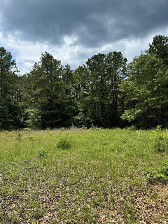 2511 County Road 4280, Woodville, Texas image 1