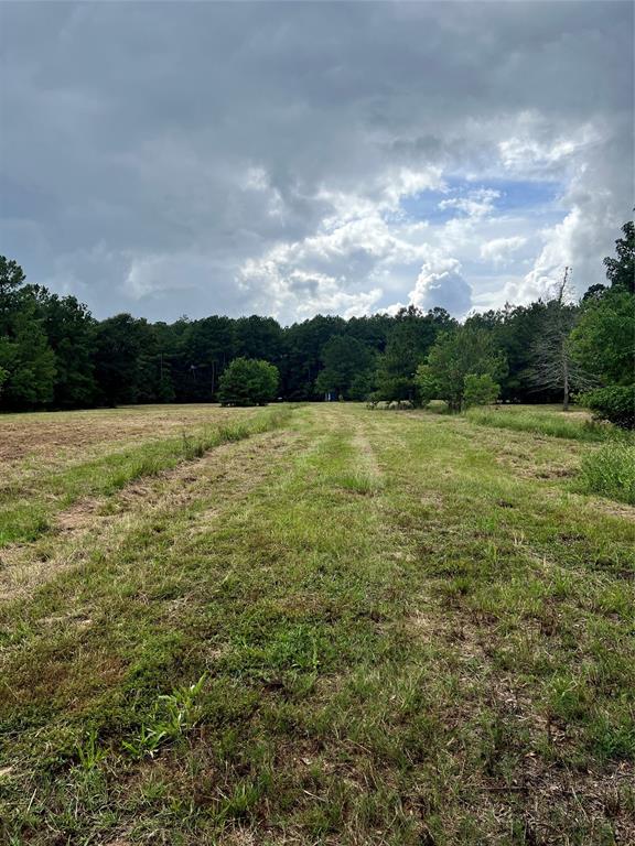 TBD County Road 2314, Dayton, Texas image 9