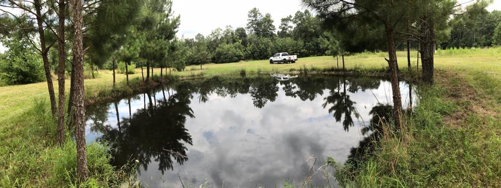 TBD County Road 2314, Dayton, Texas image 11