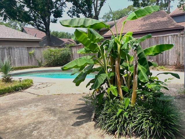 3810 Holder Forest Drive, Houston, Texas image 36