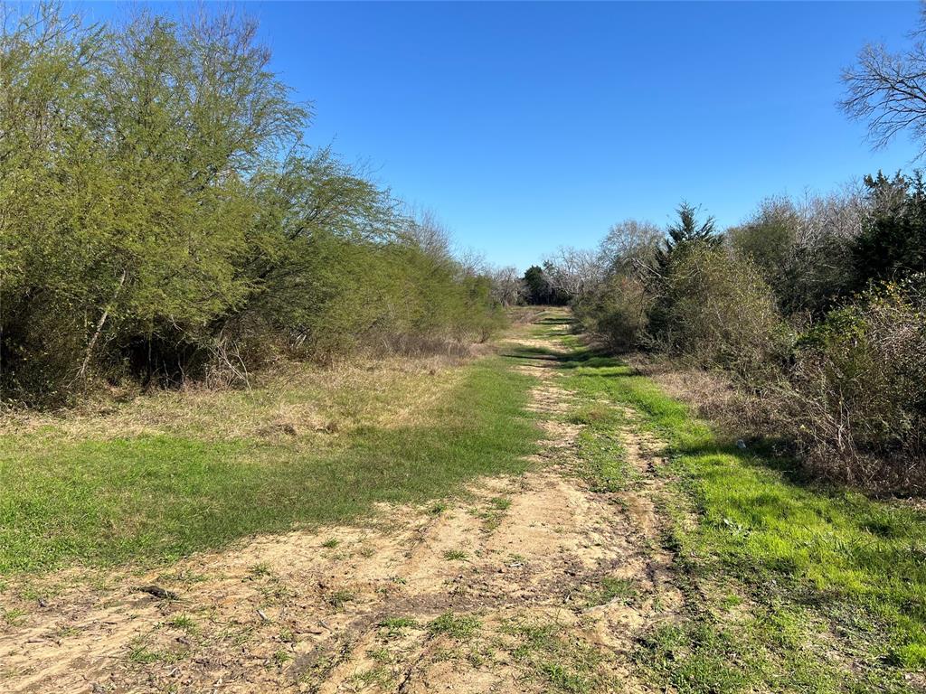 TBD Winding Br Lane, Chappell Hill, Texas image 5