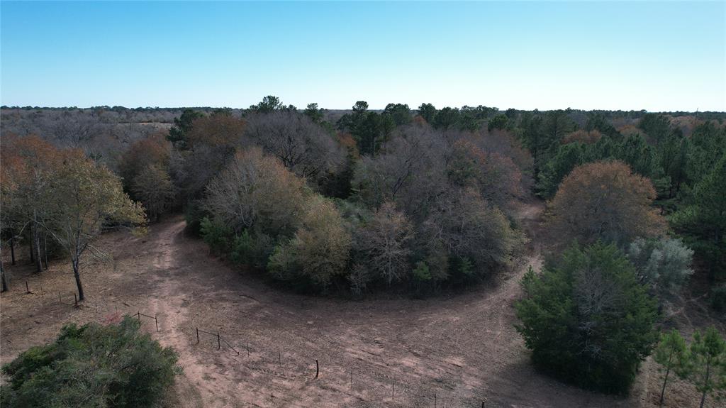 Photo 15 of 16 of 30880 Hegar Road land
