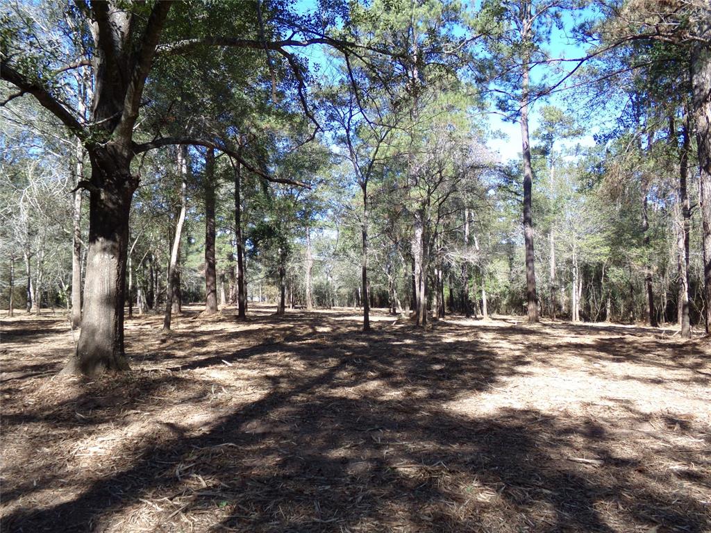 Photo 5 of 16 of 30880 Hegar Road land