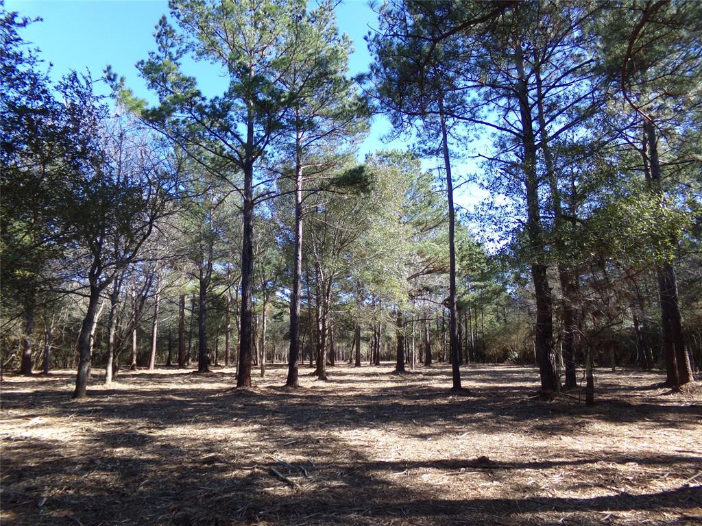 Photo 4 of 16 of 30880 Hegar Road land