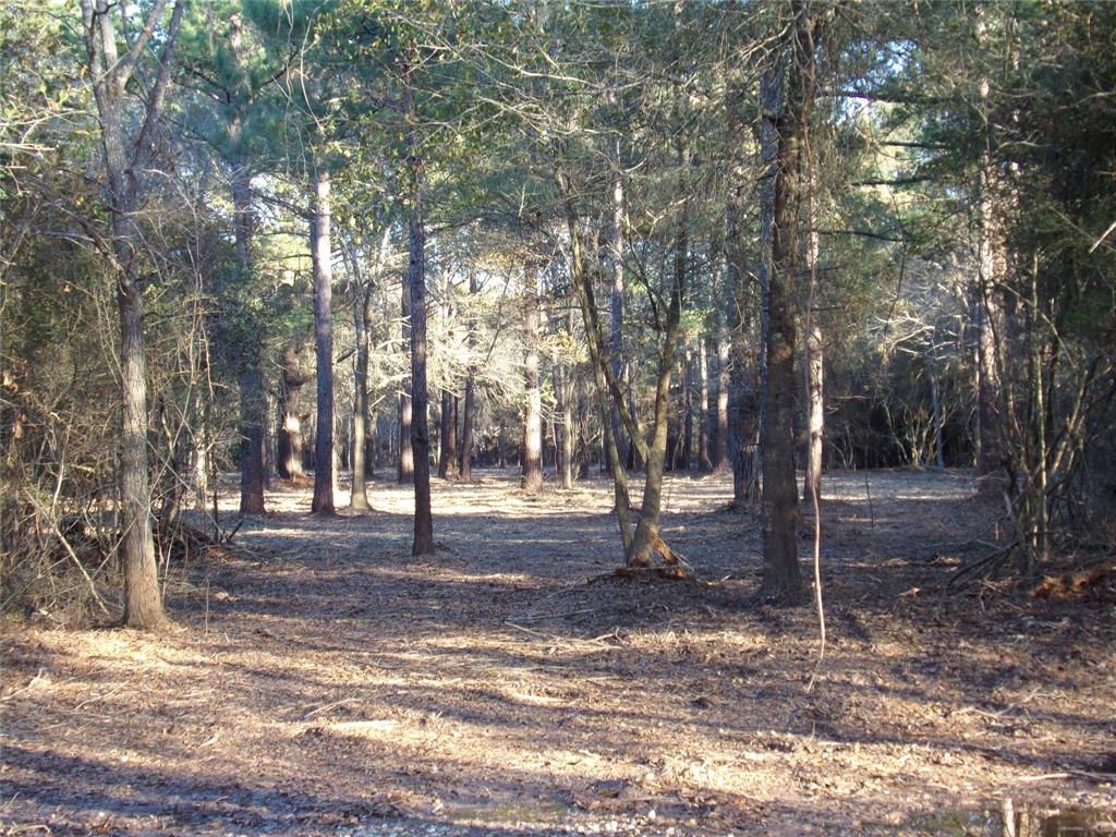 Photo 3 of 16 of 30880 Hegar Road land