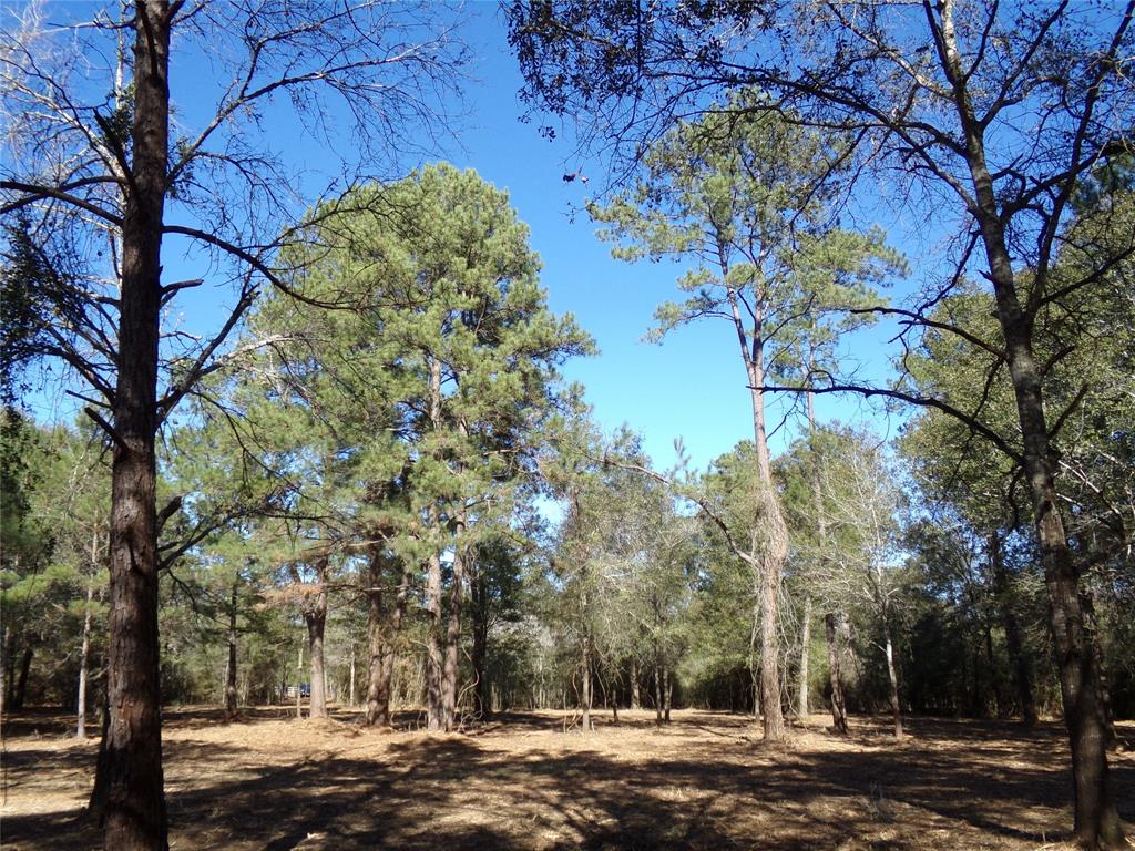 Photo 2 of 16 of 30880 Hegar Road land