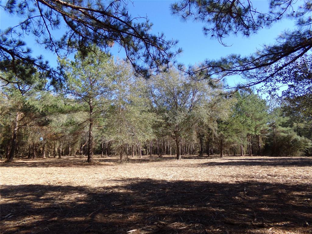 Photo 1 of 16 of 30880 Hegar Road land