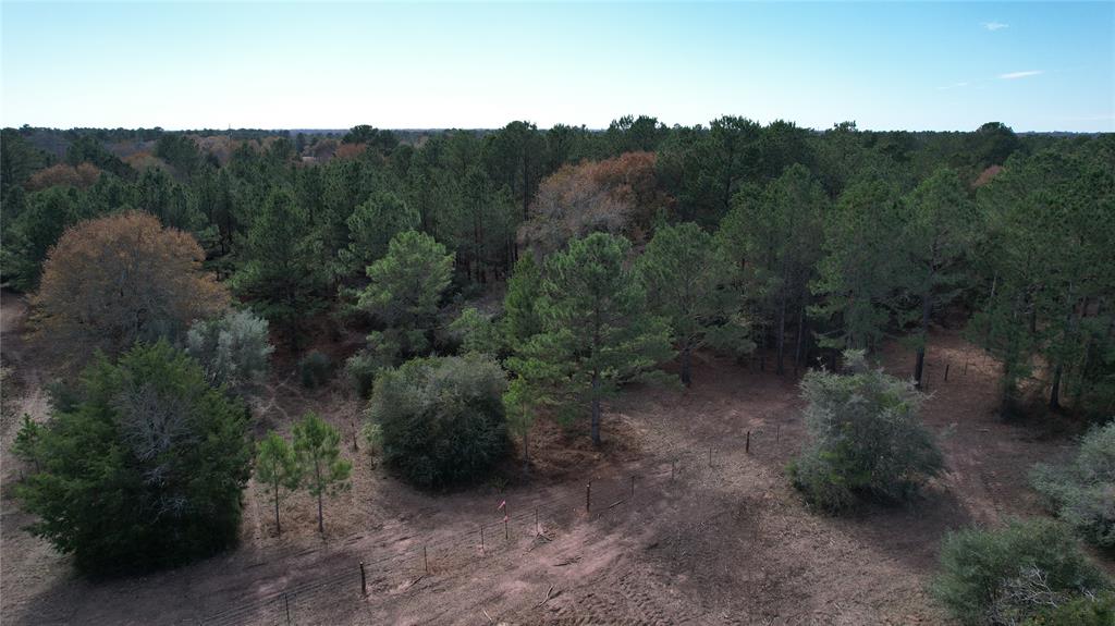 Photo 16 of 16 of 30880 Hegar Road land