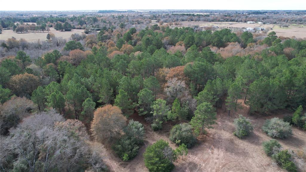 Photo 14 of 16 of 30880 Hegar Road land