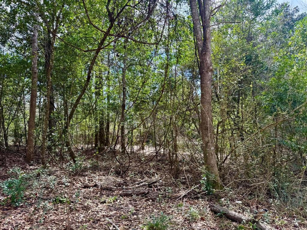 TBD Lyndale Street, Woodville, Texas image 20