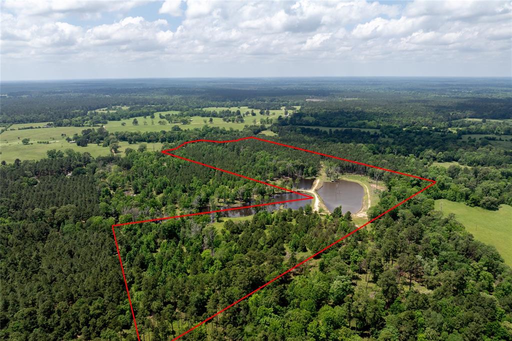 3962 County Road 1095, Kennard, Texas image 2