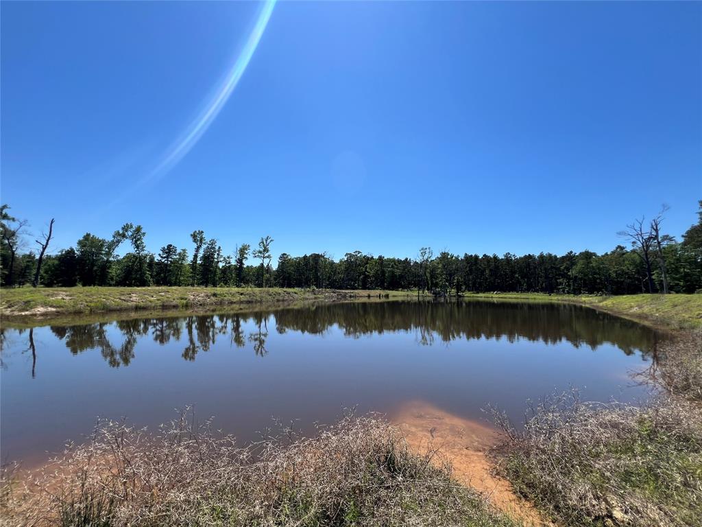 3962 County Road 1095, Kennard, Texas image 16