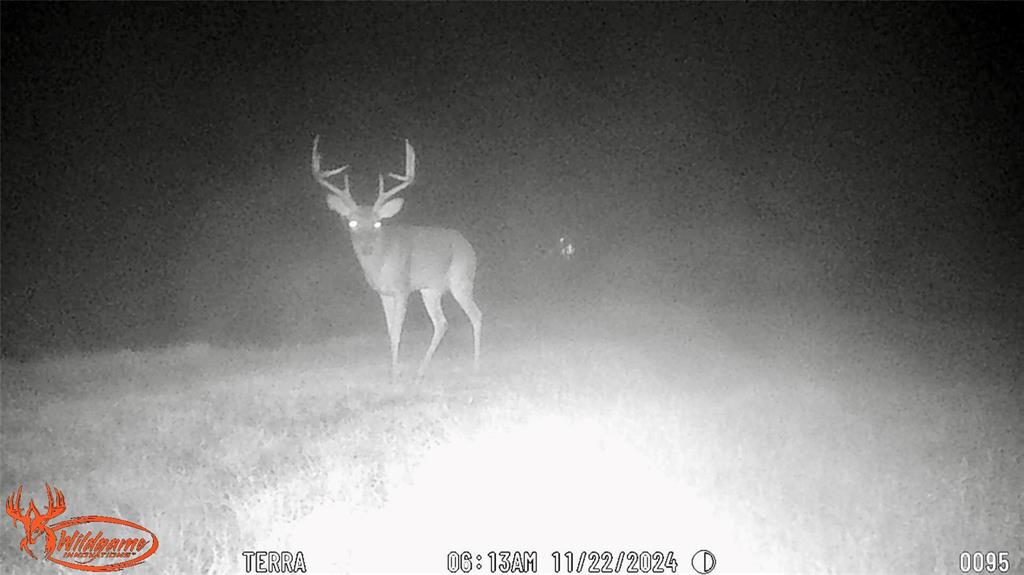 3962 County Road 1095, Kennard, Texas image 17