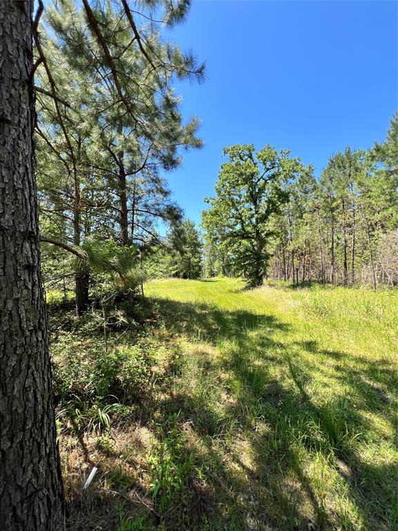 3962 County Road 1095, Kennard, Texas image 12