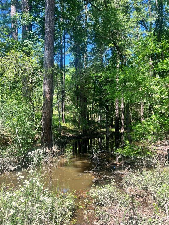 3962 County Road 1095, Kennard, Texas image 15