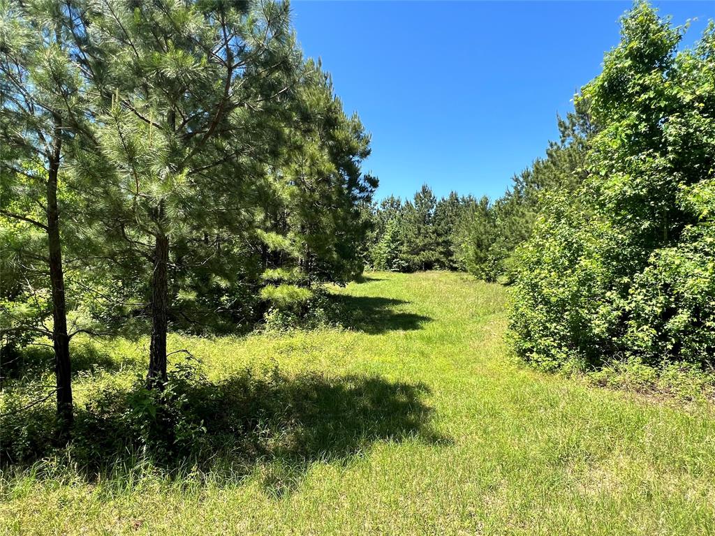 3962 County Road 1095, Kennard, Texas image 13