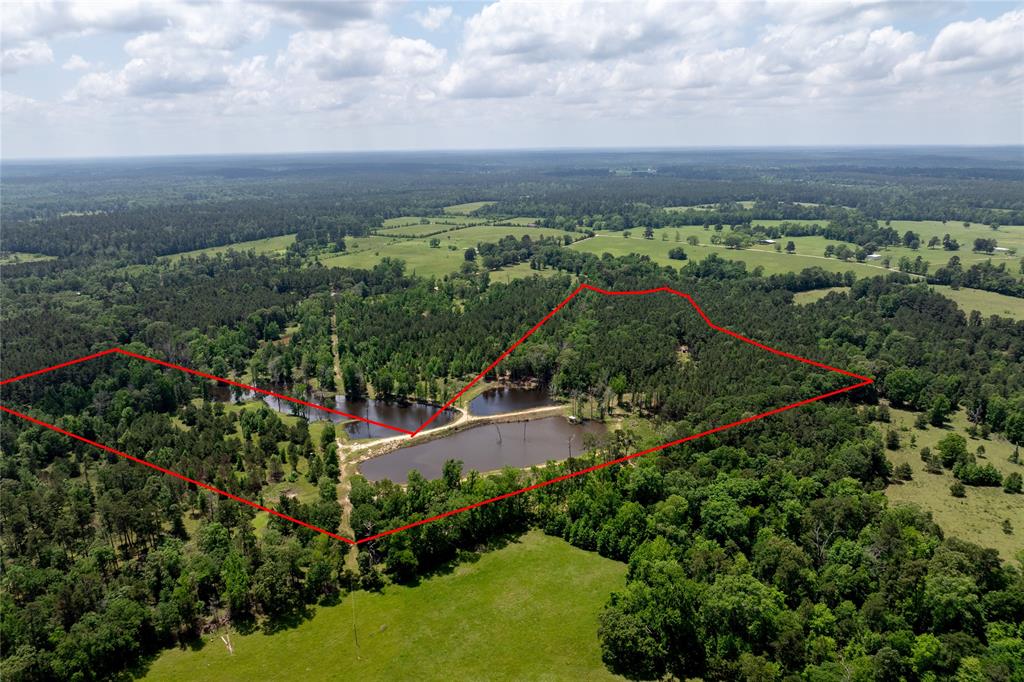 3962 County Road 1095, Kennard, Texas image 3