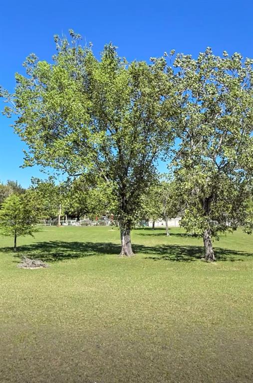 S Wayside Drive, Houston, Texas image 8