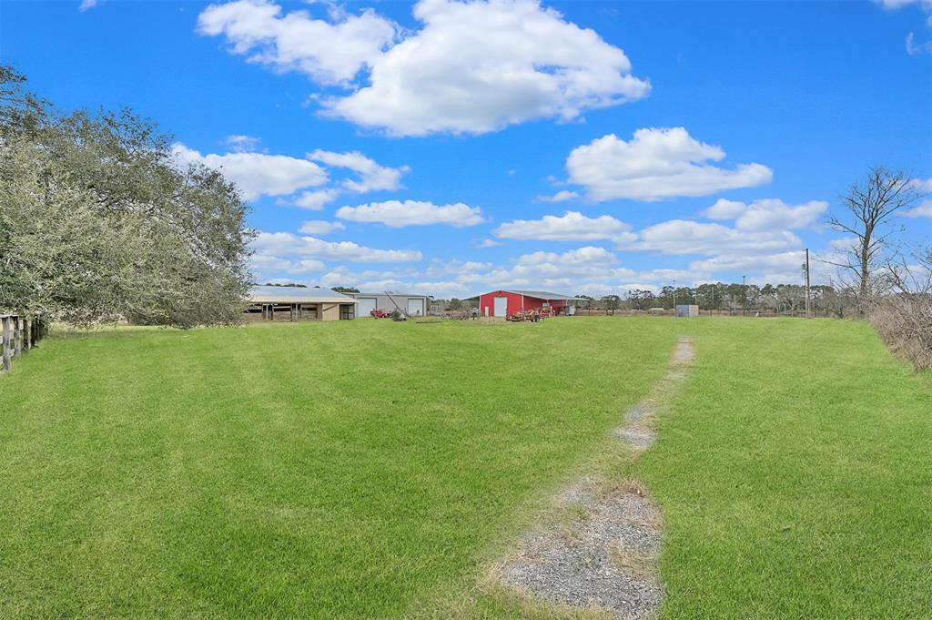 8266 S Williams Road, Conroe, Texas image 8