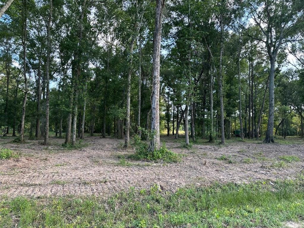 000 Blackburn Dr, Splendora, Idaho image 12