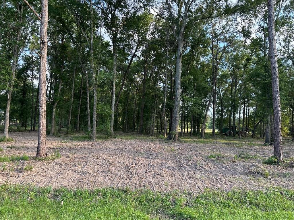 000 Blackburn Dr, Splendora, Idaho image 9