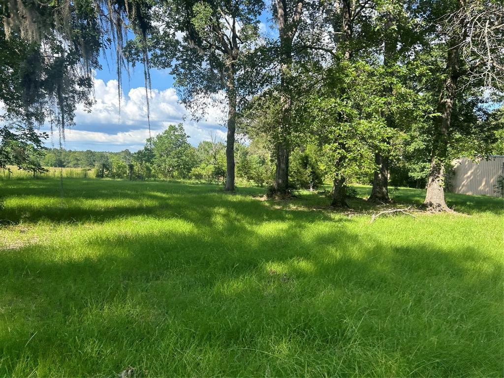 164 Parker Road, Corrigan, Texas image 32
