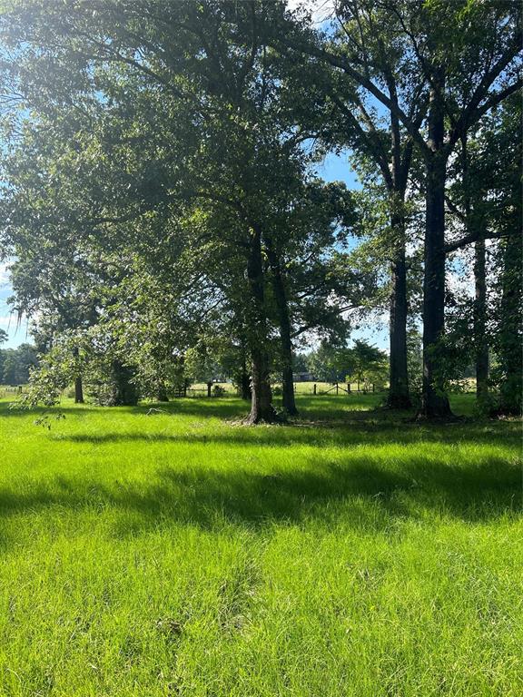 164 Parker Road, Corrigan, Texas image 28