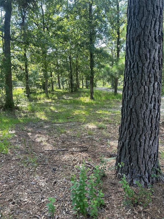 164 Parker Road, Corrigan, Texas image 34