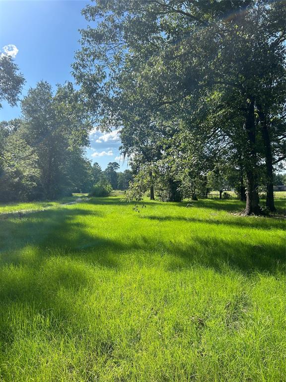 164 Parker Road, Corrigan, Texas image 27