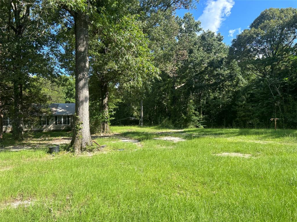 164 Parker Road, Corrigan, Texas image 24