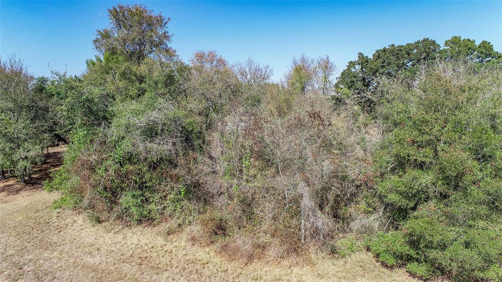 TBD (3.83 Acres) County Road 285, Caldwell, Texas image 9