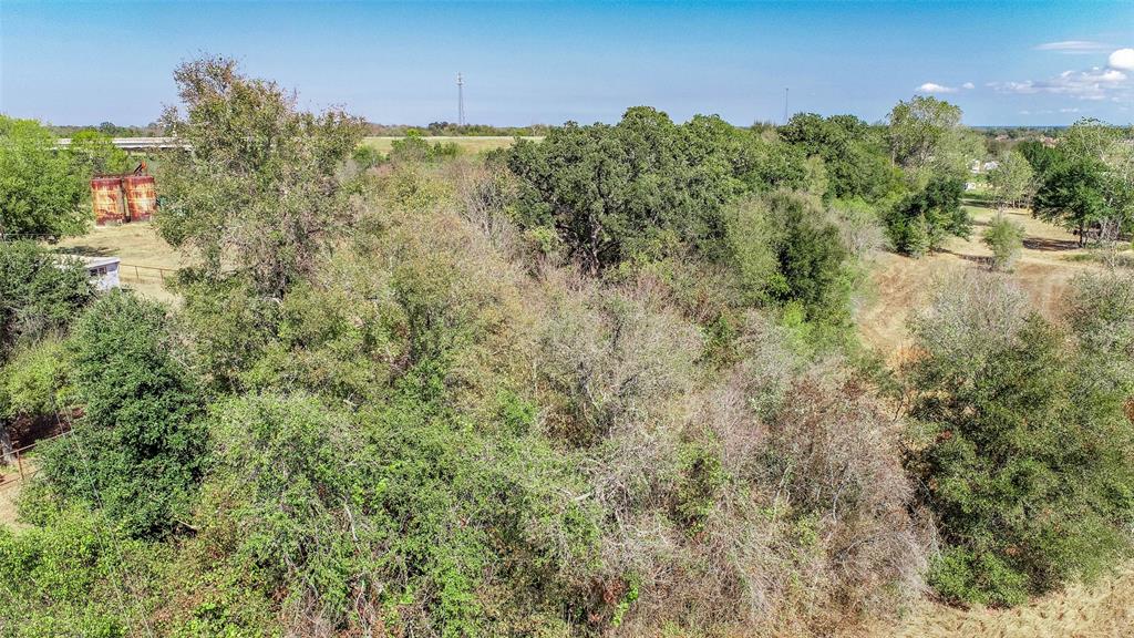 TBD (3.83 Acres) County Road 285, Caldwell, Texas image 10