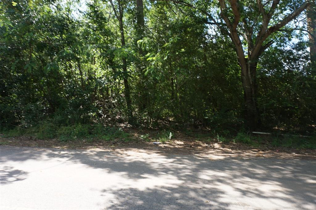 14915 Cactus Wren Drive, Tomball, Texas image 2